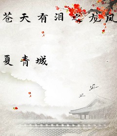 苍天有泪之龙凤呈翔