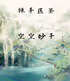 辣手医圣