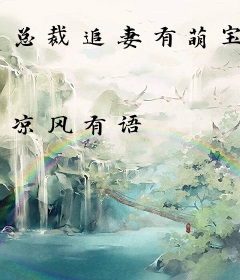 总裁追妻有萌宝