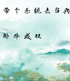 带个系统去当兵