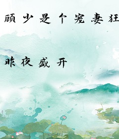 顾少是个宠妻狂