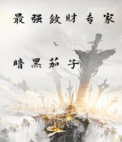 最强敛财专家