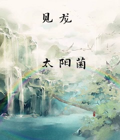 见龙