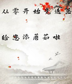 从零开始竞选总统