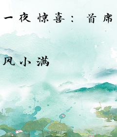 一夜惊喜：首席绝宠娇妻