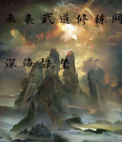 未来武道修练网