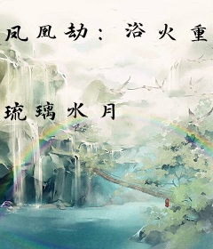 凤凰劫：浴火重生