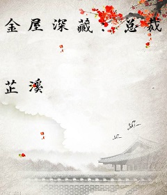 金屋深藏：总裁的限量版