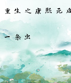 重生之康熙元后