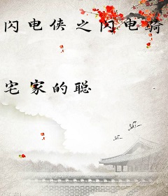 闪电侠之闪电骑士