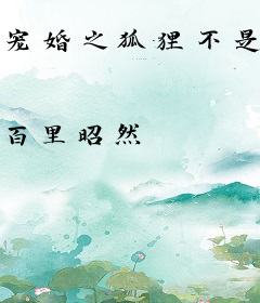 宠婚之狐狸不是妖