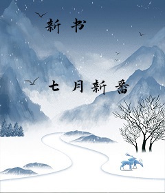 新书