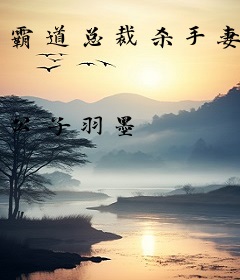 霸道总裁杀手妻