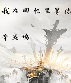 我在回忆里等你
