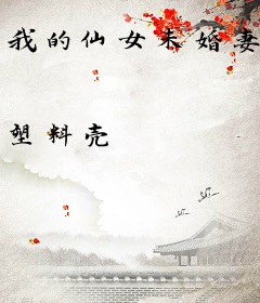 我的仙女未婚妻