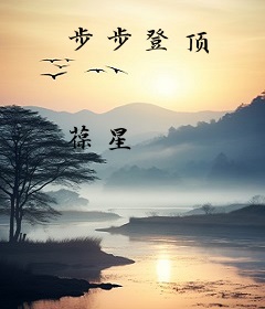 步步登顶