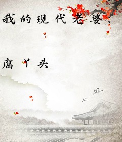 我的现代老婆：王妃升职记