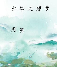 少年足球梦