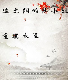 追太阳的陆小姐