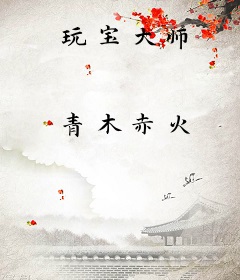 玩宝大师