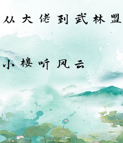 从大佬到武林盟主