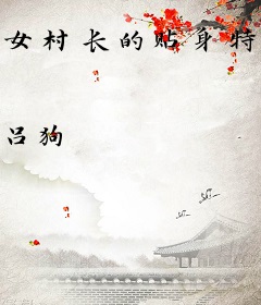 女村长的贴身特种兵