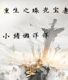 重生之珠光宝妻