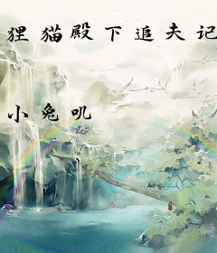 狸猫殿下追夫记