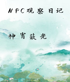 NPC观察日记