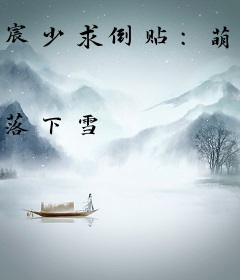 宸少求倒贴：萌妻嫁一送二