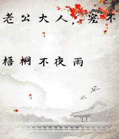 老公大人，宠不停！