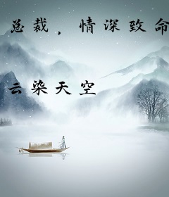 总裁，情深致命