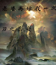 老婆再嫁我一次