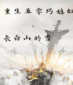 重生五零巧媳妇