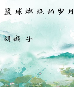 篮球燃烧的岁月