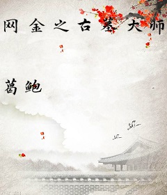 网金之古墓大师兄