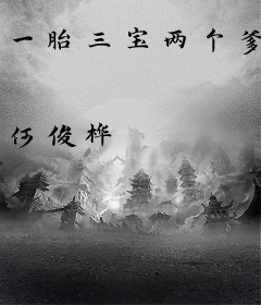 一胎三宝两个爹