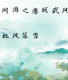 网游之鏖战武风
