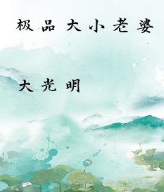极品大小老婆