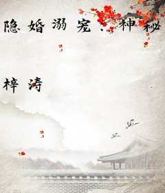 隐婚溺宠：神秘老公，惹不起