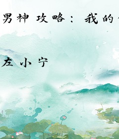 男神攻略：我的偶像老公