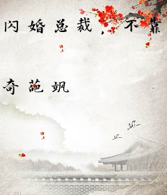 闪婚总裁，不靠谱