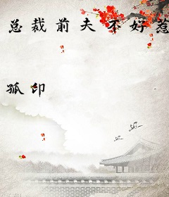 总裁前夫不好惹