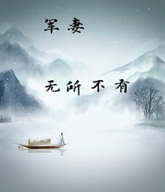 军妻