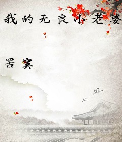 我的无良小老婆