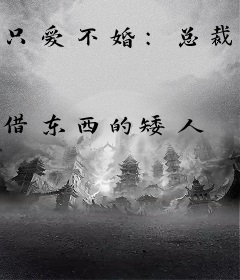 只爱不婚：总裁请上车