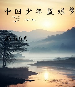 中国少年篮球梦