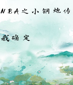 NBA之小钢炮传奇