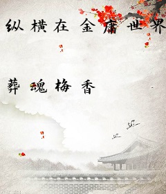 纵横在金庸世界