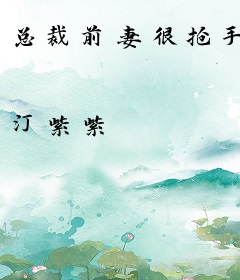 总裁前妻很抢手